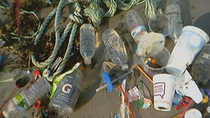 Cruise Ship Reality - Dumping Human Waste and Garbage